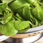 Frittata with spinach and garlic