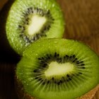 Cómo hacer que un kiwi madure más rápido