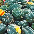 Close-up of slices of a courgette