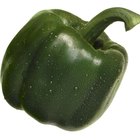 Fresh Green Capsicum on Plate