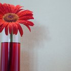 Como fazer gel de enchimento de vasos para um arranjo floral de seda
