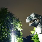 Animales que se paran en dos patas