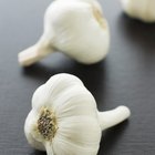 Bulbs of garlic on cutting board and garlic press