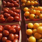 Características de los tomates