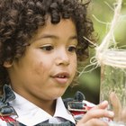 Cómo lidiar con un niño que tiene miedo a los insectos