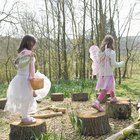 Actividades con anillos de árboles para niños