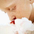 Las hemorragias nasales repentinas en niños 