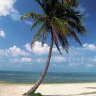 Las más bellas playas de los Cayos de la Florida