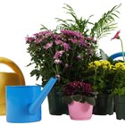 Utilidad del agujero que tienen las macetas para flores