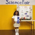 Proyectos de feria de ciencias para alumnos de secundaria sobre alimentos