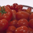 Profundidad para plantar tomates en una jardinera