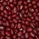 Fresh beans