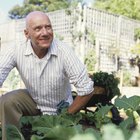 La mejor manera de utilizar plástico negro como barrera para malezas