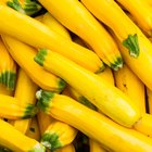 Yellow summer squash on display in baskets