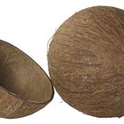 Como fazer artesanato com coco