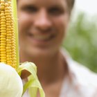 Una vez que crece el maíz, ¿cuánto tiempo falta hasta que las mazorcas estén maduras?