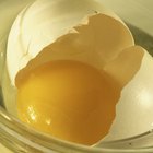 ¿Cuál es el propósito del experimento del huevo flotante?
