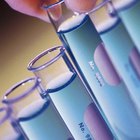 Advantages & disadvantages to clinical trials