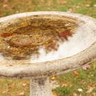 How to fix a broken concrete birdbath