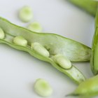 Kidney beans on plate, close-up