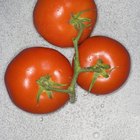 Qué es un tomate marmande