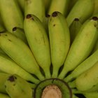 Cómo madurar plátanos artificialmente en casa