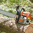 Cómo cortar árboles de pino para usar como madera