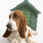 Cómo construir una casa para perros grande y aislada