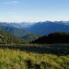 Senderos para caminar en Sequim, Washington