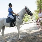 Como montar à cavalo pela primeira vez