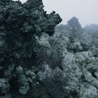 Información sobre senderismo en el Etna en Italia