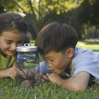 ¿Cómo la ciencia ayuda al desarrollo infantil temprano?