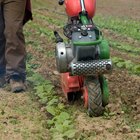 Las técnicas que practican los agricultores para prevenir la erosión del suelo