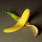 ¿Sirven las cáscaras de banana para plantas en maceta?