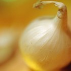 fresh onions in a basket