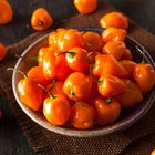 Mortar And Pestle With Scotch Bonnet Peppers