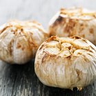 Bulbs of garlic on cutting board and garlic press