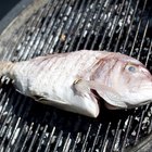 sturgeon steaks grilled