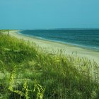 Sitios para acambar con tu RV frente al mar en Carolina del Norte