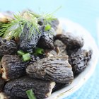 background of fresh oyster in a plate