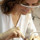 Como recuperar-se rapidamente após uma extração do dente do siso