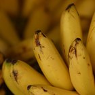Preocupaciones acerca de congelar plátanos