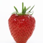 Close Up Image of a Woman Eating a Strawberry, Side View