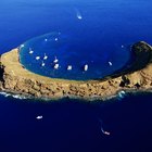 Los mejores lugares para bucear en Hawai
