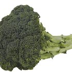 Cómo eliminar el sabor amargo del brocoli
