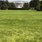 Qué hacer con adolescentes en Washington, D.C.