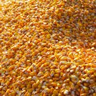 Como calcular a capacidade de um silo de grãos arredondado em bushel