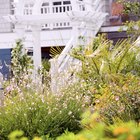 Cómo hacer un arco de flores