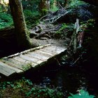 Como contruir uma ponte sobre um pequeno riacho