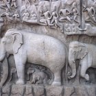 Mitos sobre los elefantes